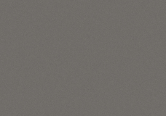 02 GRIS EXPO